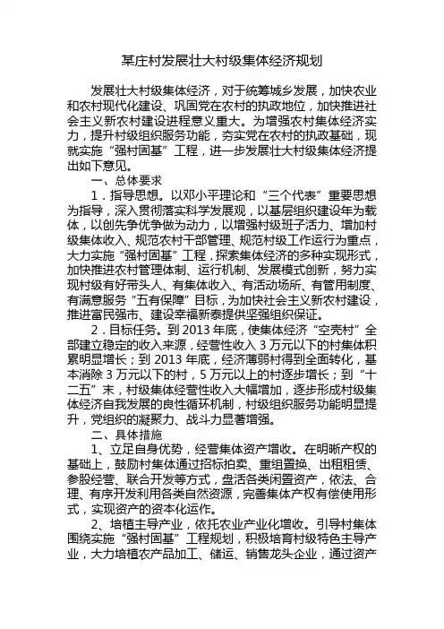 村发展集体经济规划
