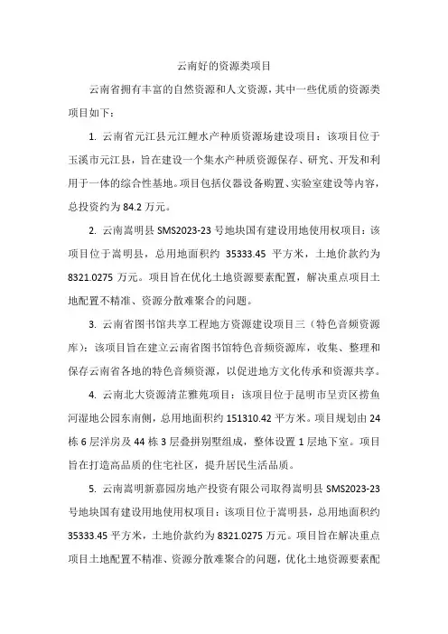 云南好的资源类项目