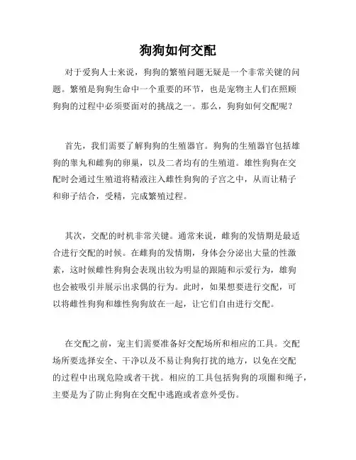 狗狗如何交配