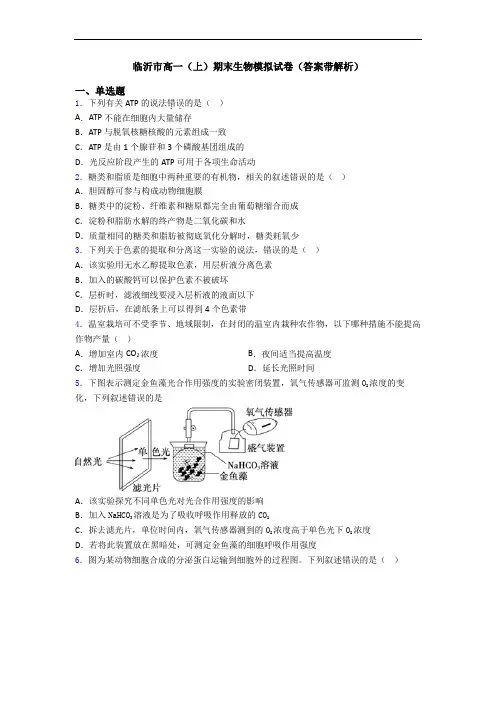 临沂市高一(上)期末生物模拟试卷(答案带解析)