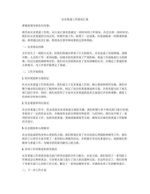灾害重建工作情况汇报