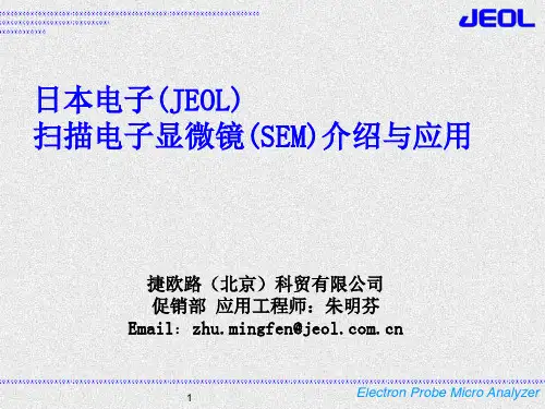 钨灯丝扫描电镜