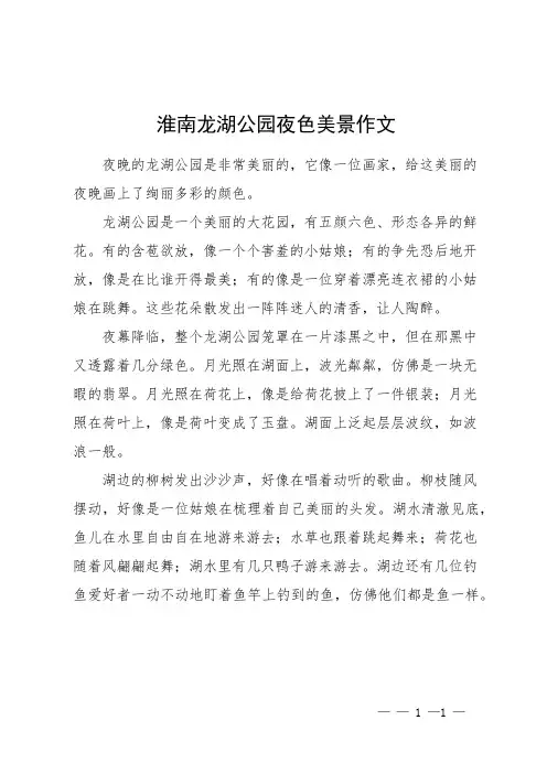 淮南龙湖公园夜色美景作文
