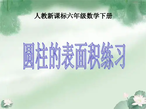 《圆柱的表面积练习》PPT课件