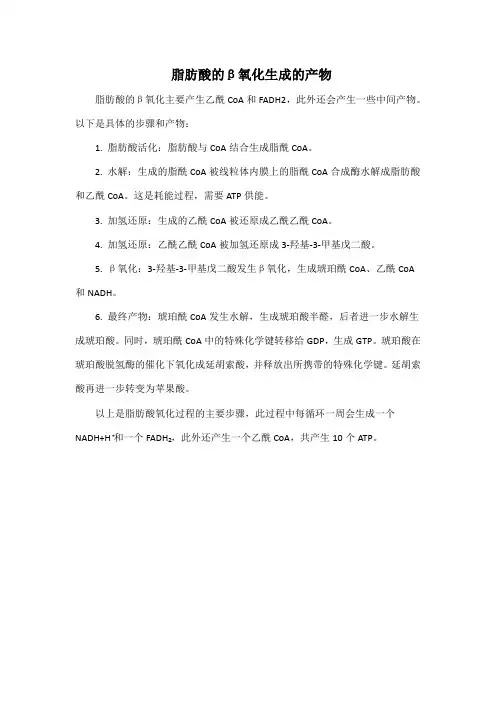 脂肪酸的β氧化生成的产物