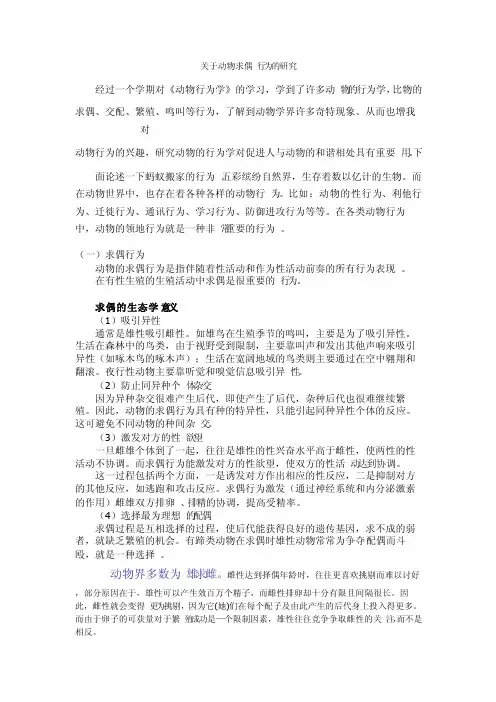 关于动物求偶行为的研究