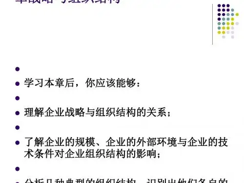 战略与组织结构概述(PPT 75张)