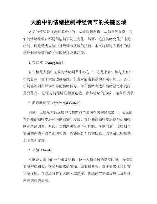 大脑中的情绪控制神经调节的关键区域
