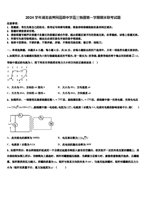 2024学年湖北省黄冈高级中学高三物理第一学期期末联考试题含解析