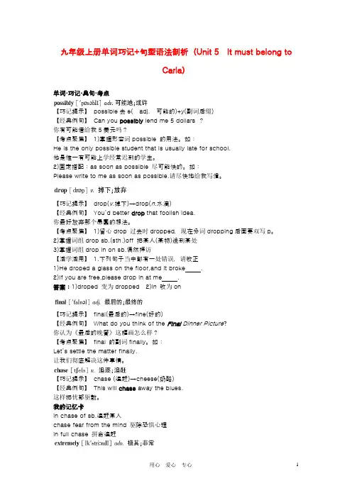 九年级英语上册 Unit 5 It must belong to Carla单词巧记+句型语法剖析 人教新目标版