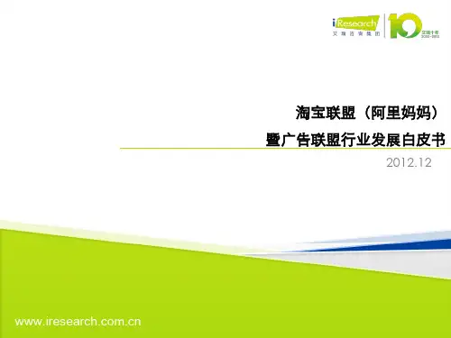 淘宝联盟白皮书PPT课件