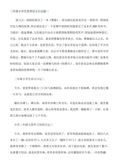 二年级学生写日记100字20篇