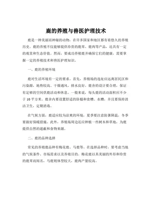 鹿的养殖与兽医护理技术