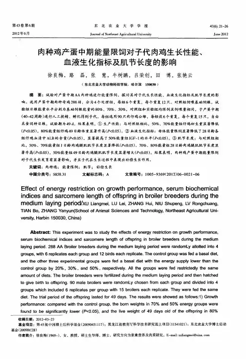 肉种鸡产蛋中期能量限饲对子代肉鸡生长性能、血液生化指标及肌节长度的影响