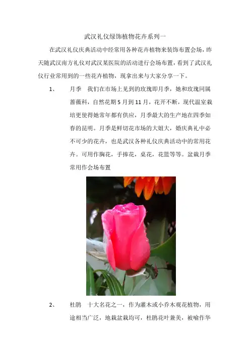 武汉礼仪庆典活动会场布置绿饰植物花卉