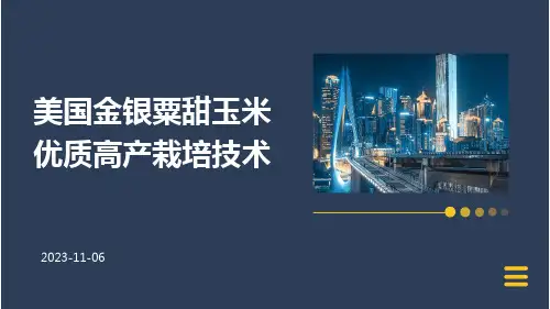 美国金银粟甜玉米优质高产栽培技术