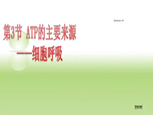 5.3细胞呼吸(上课)