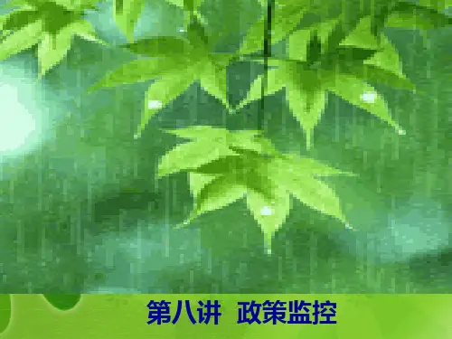第八讲  政策监控