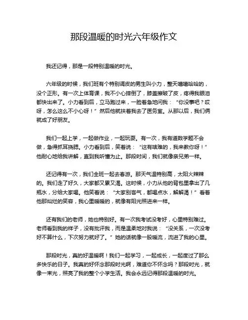 那段温暖的时光六年级作文