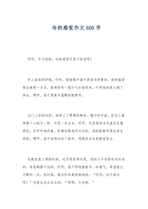 冷的感觉作文600字