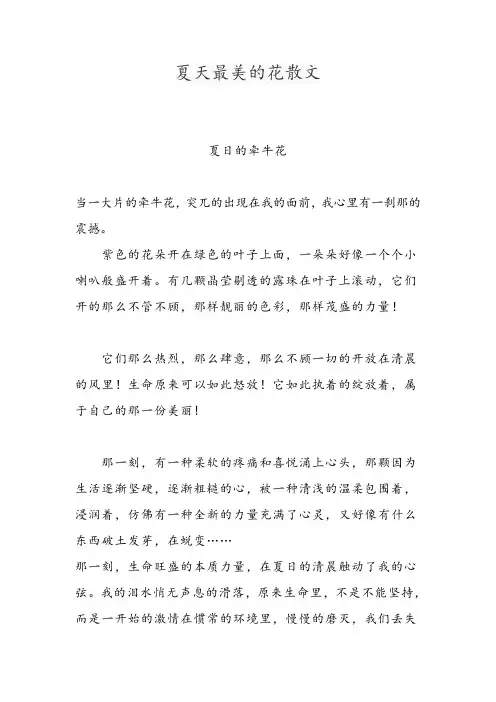夏天最美的花散文