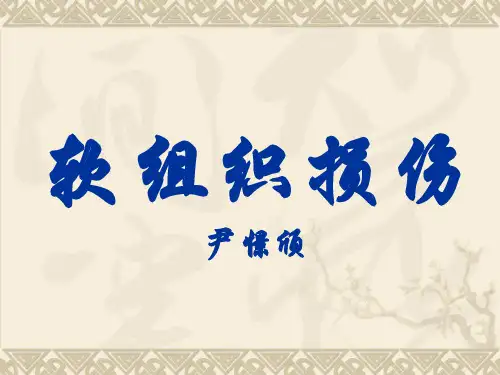 软组织损伤PPT课件
