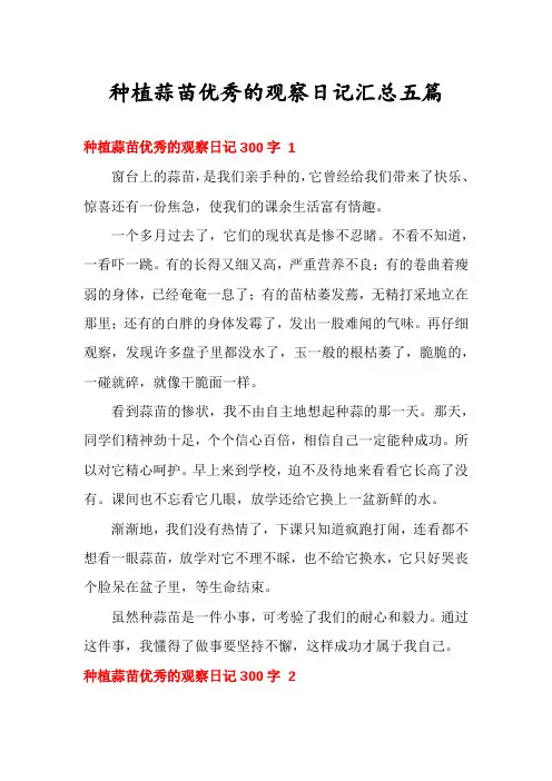 种植蒜苗优秀的观察日记汇总五篇