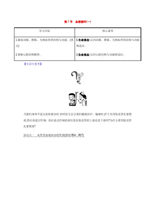 2020-2021学年北师大版八年级生物下册第2节 血液循环(一)