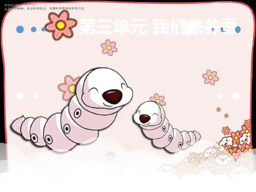 四年级下册科学课件《2.1. 我们来养蚕》 苏教版