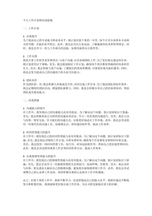 个人工作计划和改进措施