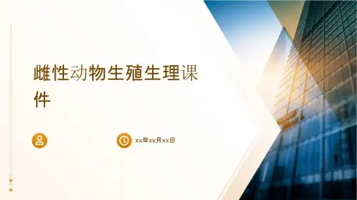 雌性动物生殖生理.课件