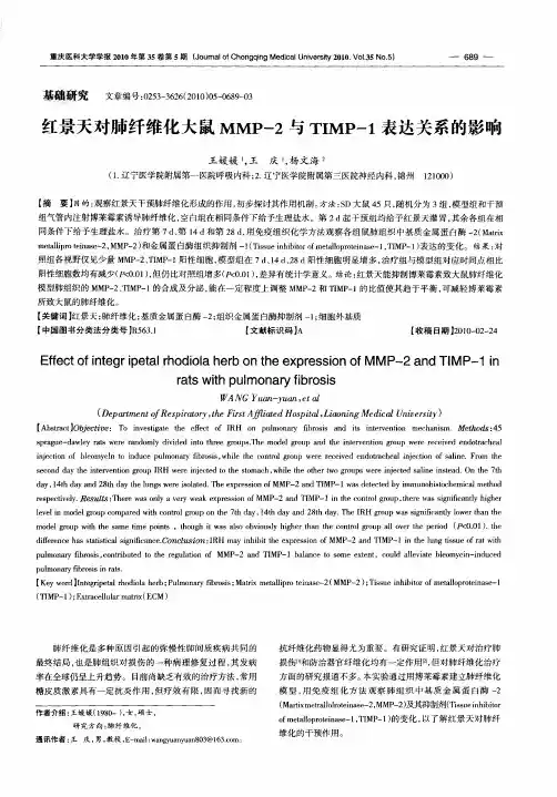 红景天对肺纤维化大鼠MMP-2与TIMP-1表达关系的影响