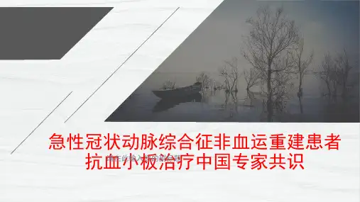 急性冠状动脉综合征非血运重建患者抗血小板治疗中国专家共识