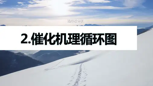 2024届高三化学新高考大二轮课堂配套课件 专题五 选择题专攻 2-催化机理循环图