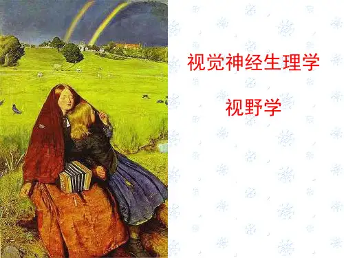 视觉神经生理学课件 视野学