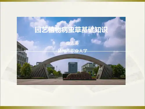 园艺植物病虫草基础知识02-PPT--第2节 园艺植物病虫害预测预报_33