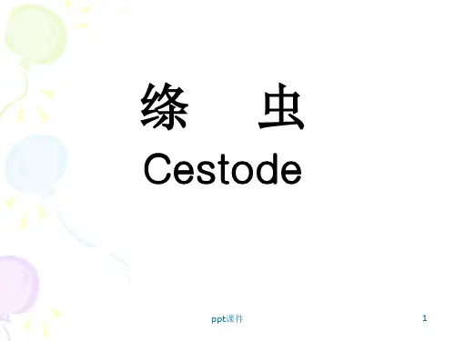 《人体寄生虫学》绦虫  ppt课件
