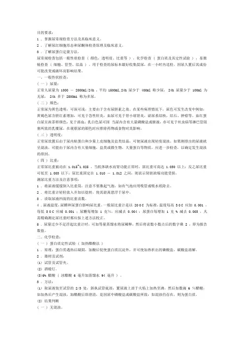 尿常规检查