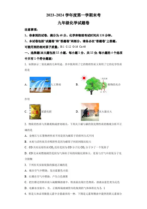 安徽省安庆市2023-2024学年九年级上学期末考化学试卷(含解析)