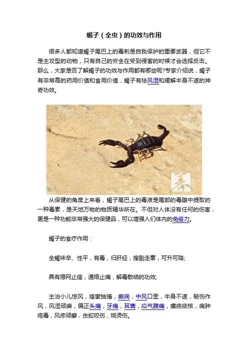 蝎子（全虫）的功效与作用
