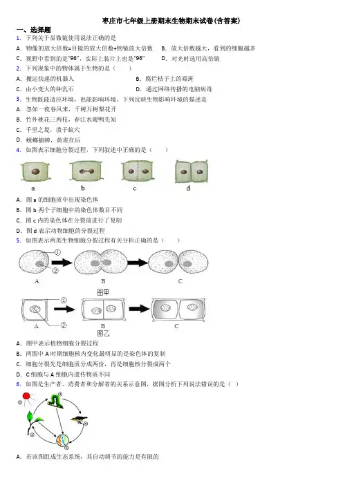 枣庄市七年级上册期末生物期末试卷(含答案)