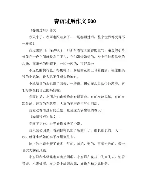 春雨过后作文500