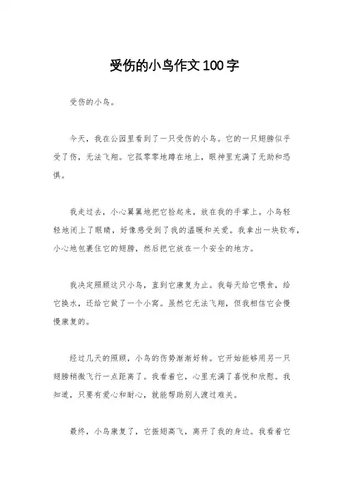受伤的小鸟作文100字