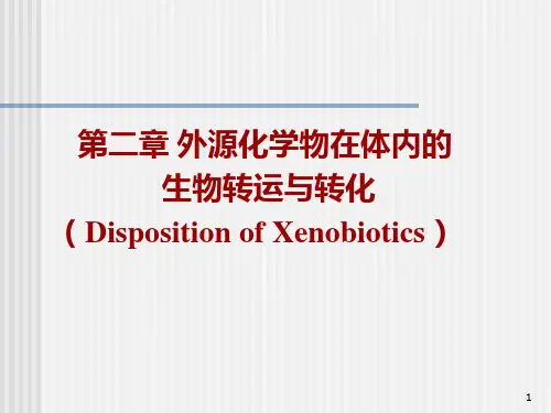 毒理学第二章-毒物的体内过程