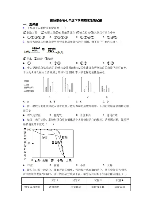 潍坊市生物七年级下学期期末生物试题