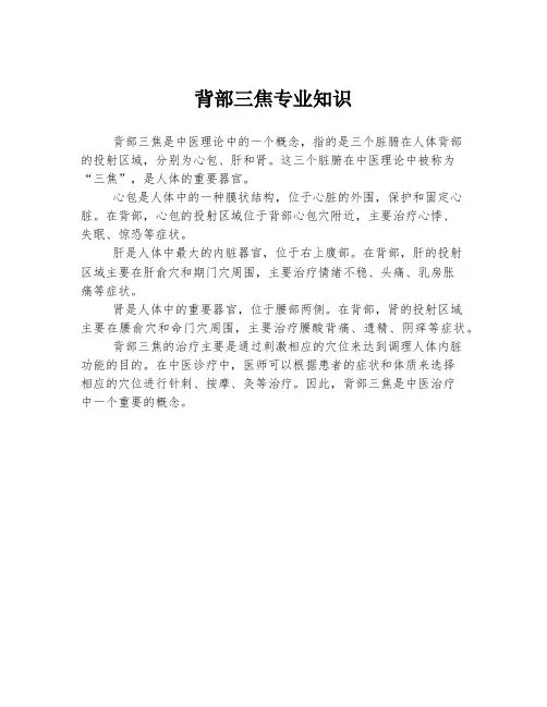 背部三焦专业知识