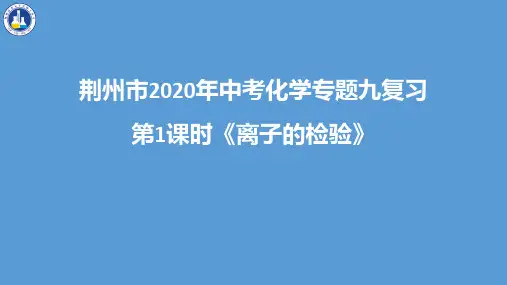 荆州市2020年中考化学专题九复习 第1课时《离子的检验》课件(共16张PPT)