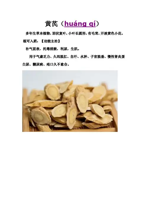 黄芪怎么读