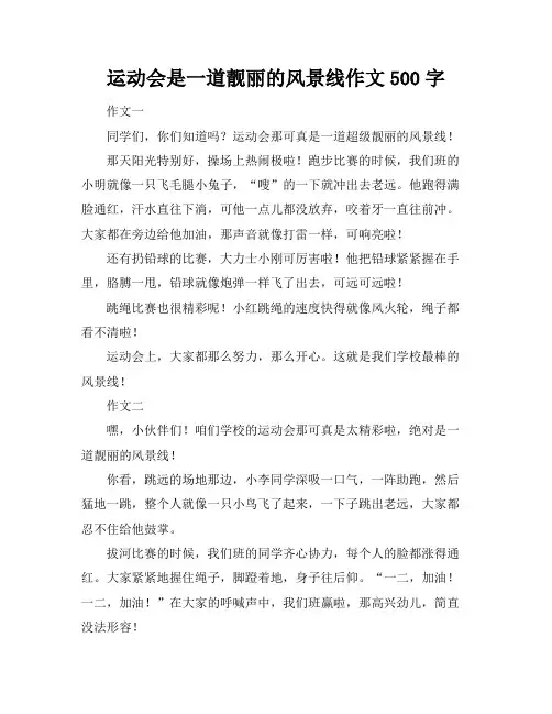 运动会是一道靓丽的风景线作文500字