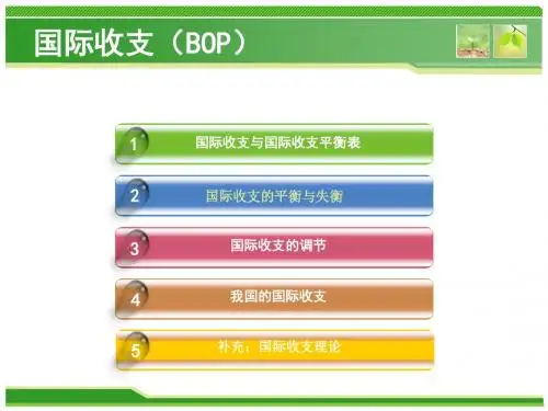 国际收支理论